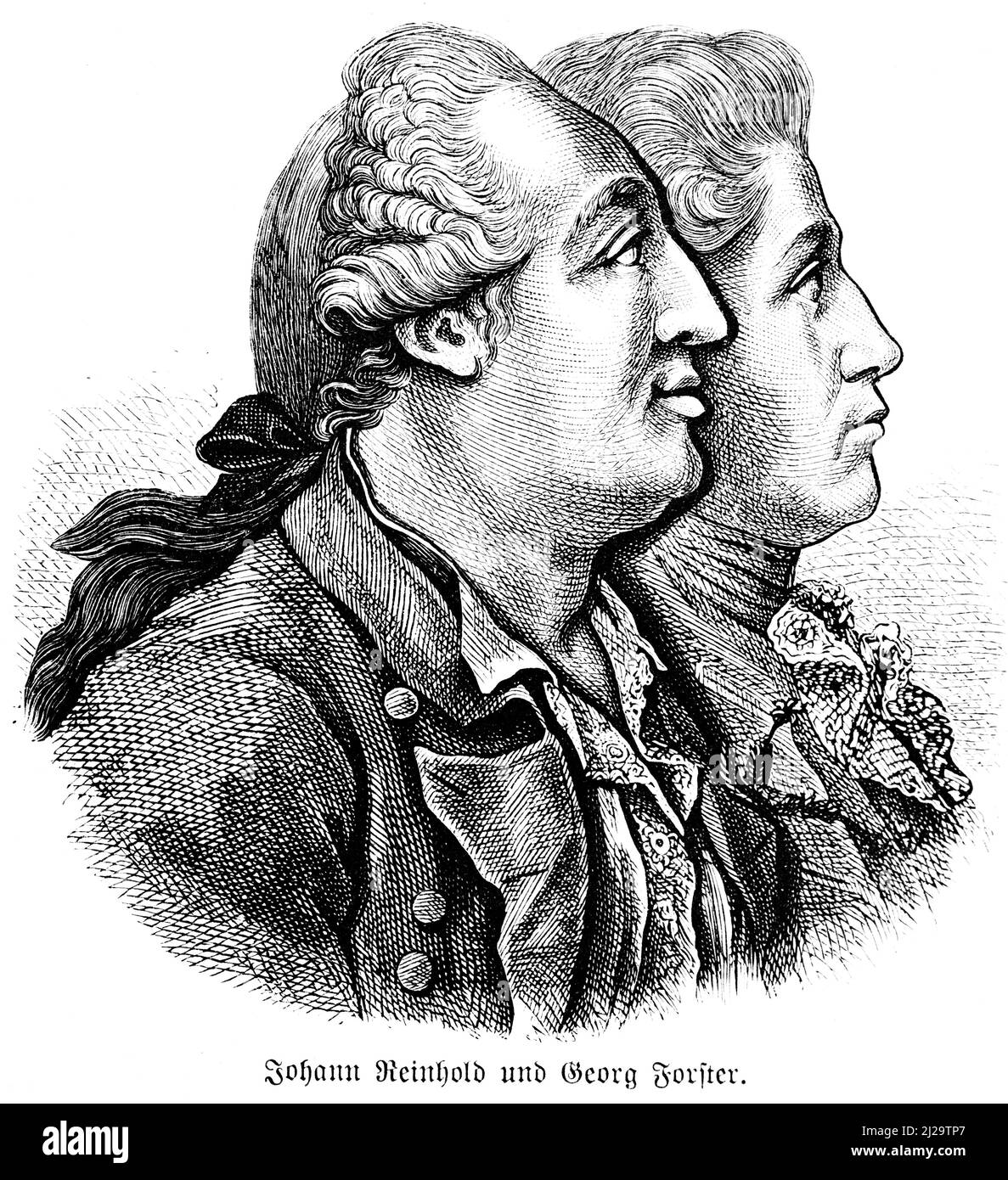 Vater Johann Reinhold Forster (1729-1798), Ornithologe, Naturforscher, Sohn Georg Forster (1754-1794), Deutscher, Ethnologe, Reiseschriftsteller Stockfoto
