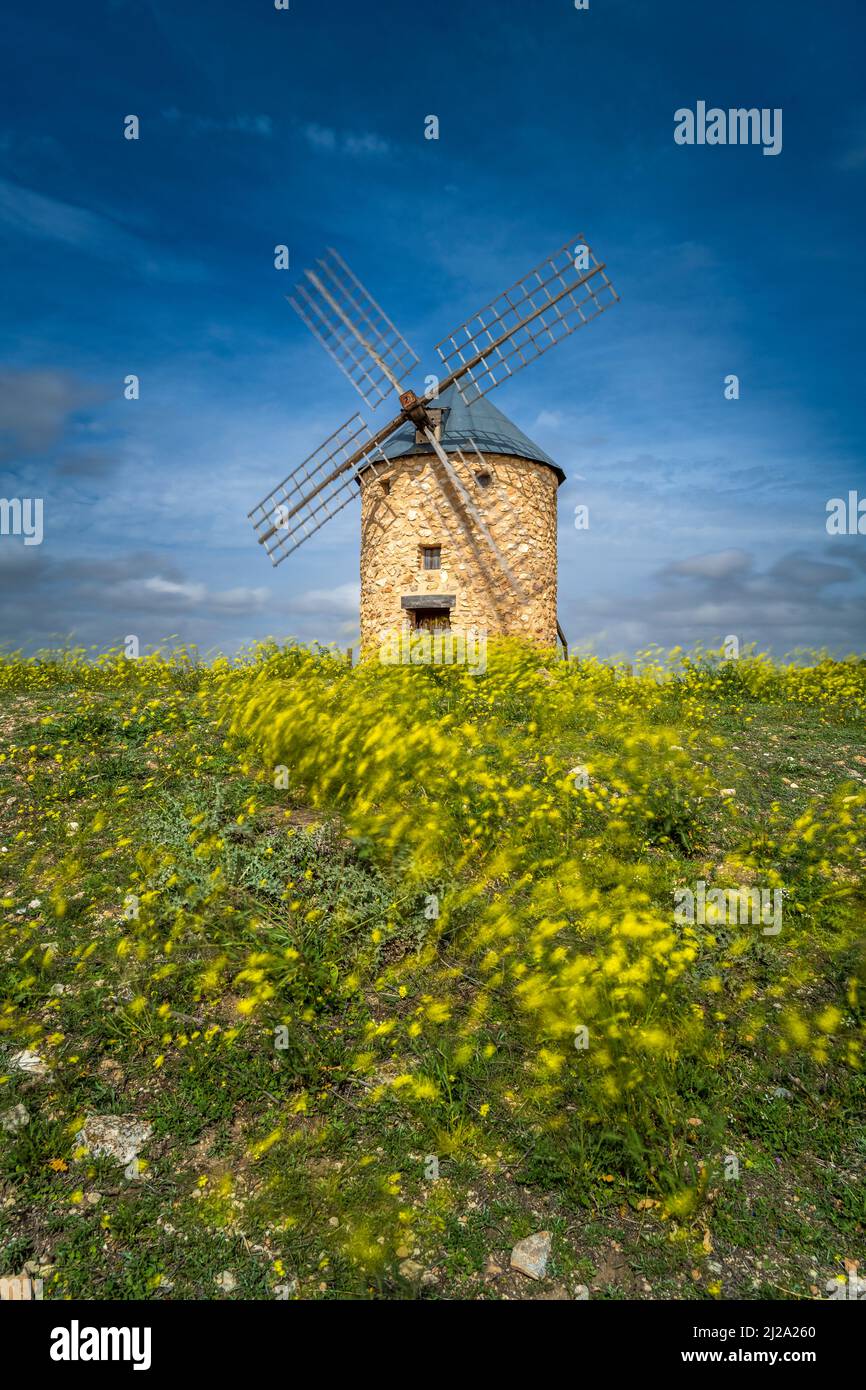Windmühle in einer malerischen Frühlingslandschaft, Belmonte, Castilla-La Mancha, Spanien Stockfoto