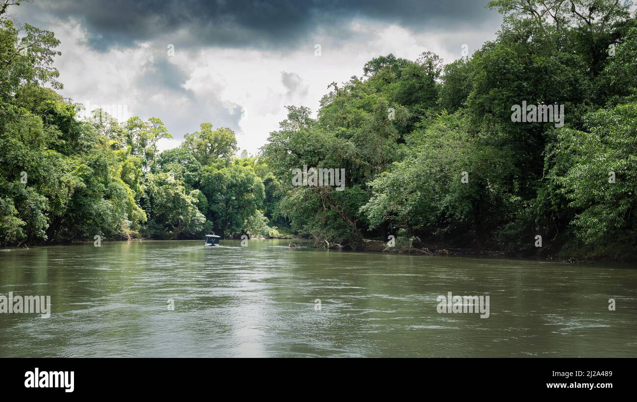 Landschaft eines tropischen Flusses, umgeben von einem üppigen Wald. Rio Sarapiqui, Costa Rica. Stockfoto