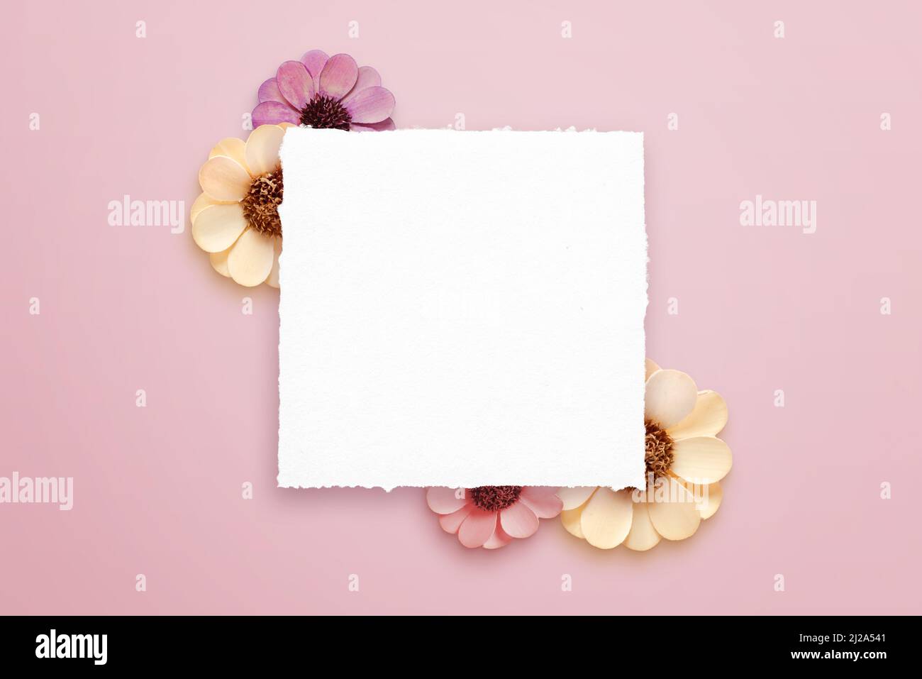 Sauberes Papier für Grußtext, umgeben von Frühlingsblumen Stockfoto