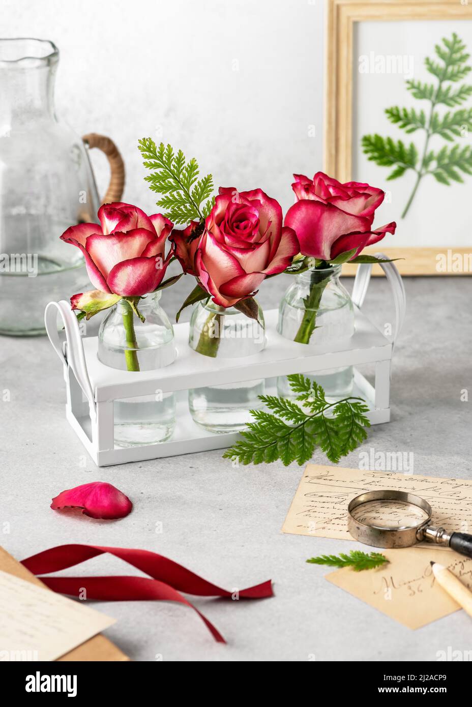 Drei schöne rosa Rosen in Pastellfarben mit Farnblättern in Glasvasen und dekorativem weißen Metallkorb. Stockfoto