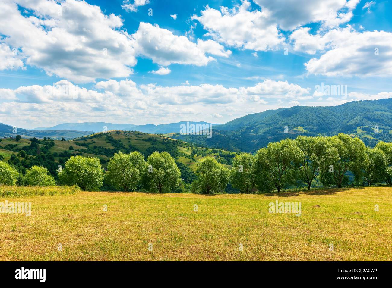 Landschaft Sommerlandschaft in den Bergen. Panoramablick auf die malerische Landschaft mizhhirya mit Bäumen und Wiesen in der transkarpatischen Region der ukraine. Stockfoto