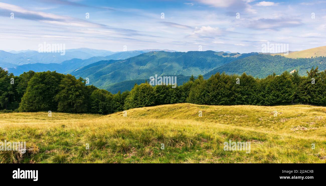 Schöne Bergblick auf die karpaten. Idyllische Landschaft mit grünen Wiesen und Buchenwald auf dem Hügel. Panorama der Naturlandschaft am Abend l Stockfoto