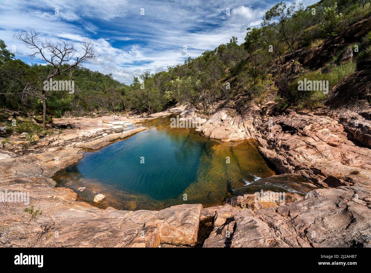 Waterfall Creek Rock Pools, ein beliebter Badeort im Mt Walsh National Park in der Nähe von Biggenden, Queensland, Australien Stockfoto