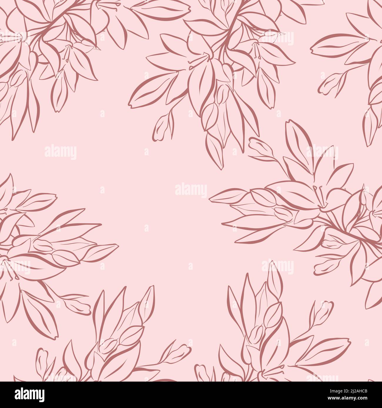 Lily Blütenstand Knospen und Blumen, schwarz-weiß Grafiken. Strichkunst. Vektorgrafik Stock Vektor