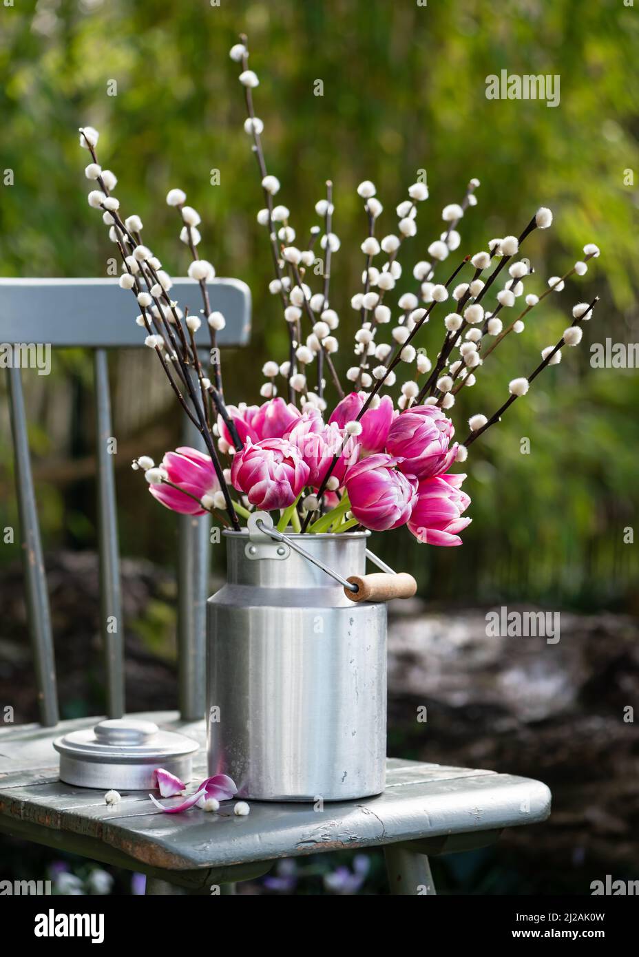 Frühlingsblumen-Arrangement. Rosafarbene, weiße Tulpen und Weidenzweige mit Katzenmuscheln in einer Aluminiummilchdose. Blumiges Stillleben im Garten. Stockfoto