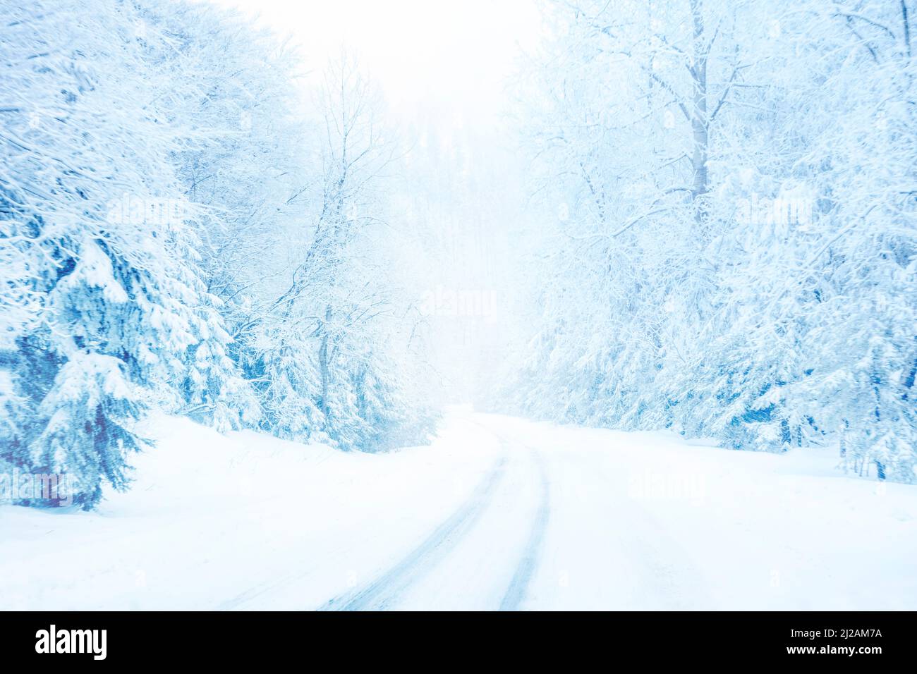 Kalte und verschneite Winterstraße in den Bergen mit immergrünen Temperaturen während des Schneesturms. Blau getönt. Stockfoto