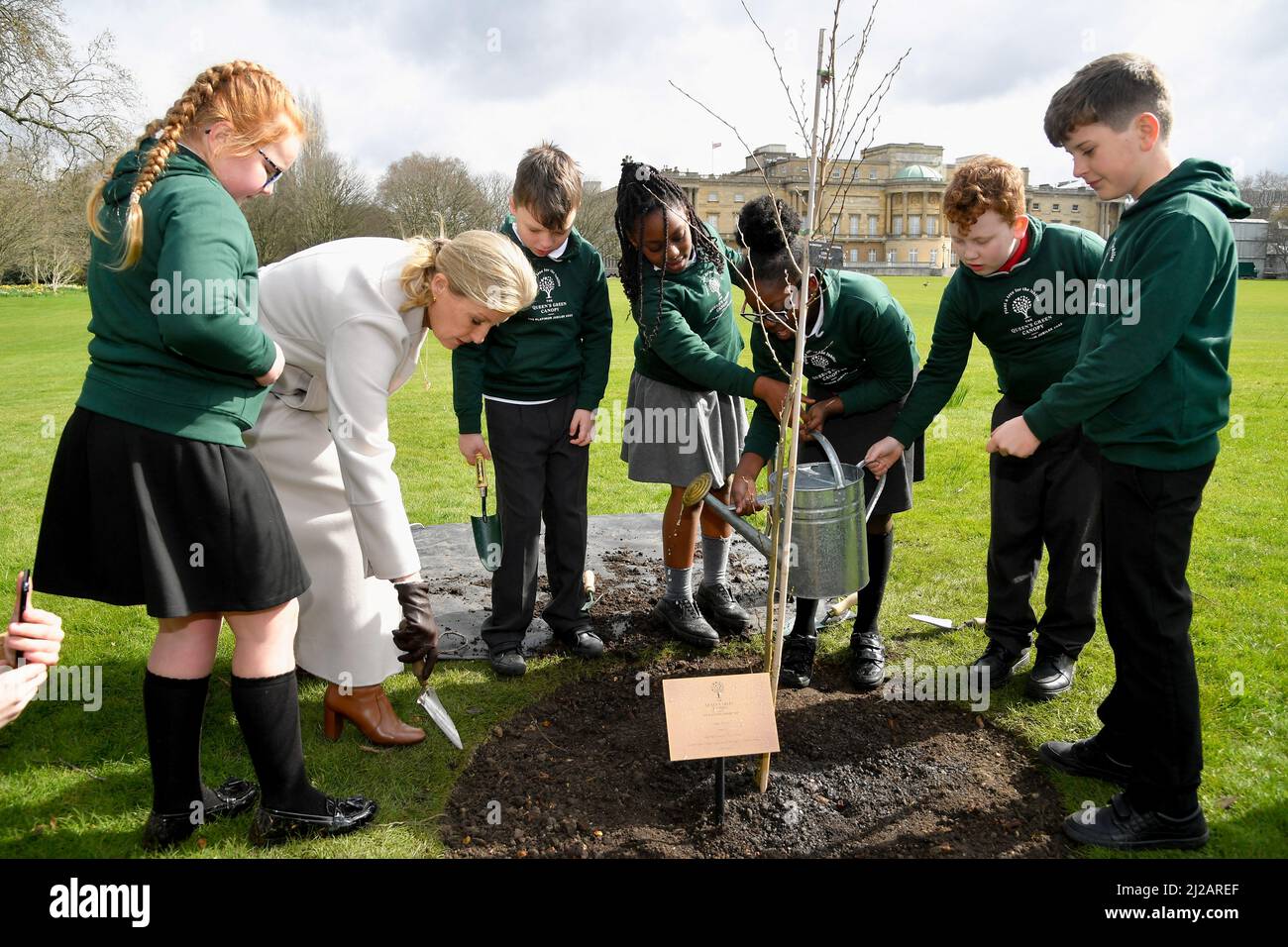 Die Gräfin von Wessex trifft sich mit den vierjährigen Schülern der Grange Park Primary School in Shropshire, die im Buckingham Palace Garden einen Jubilee-Baum Pflanzen, der das Ende der offiziellen Pflanzsaison für den grünen Vordach der Königin markiert, Eine britische Initiative zum Platin-Jubiläum, die durch ein Netzwerk von Bäumen, die in ihrem Namen gepflanzt wurden, ein dauerhaftes Vermächtnis zu Ehren des 70-jährigen Dienstes der Königin für die Nation schaffen wird. Bilddatum: Donnerstag, 31. März 2022. Stockfoto