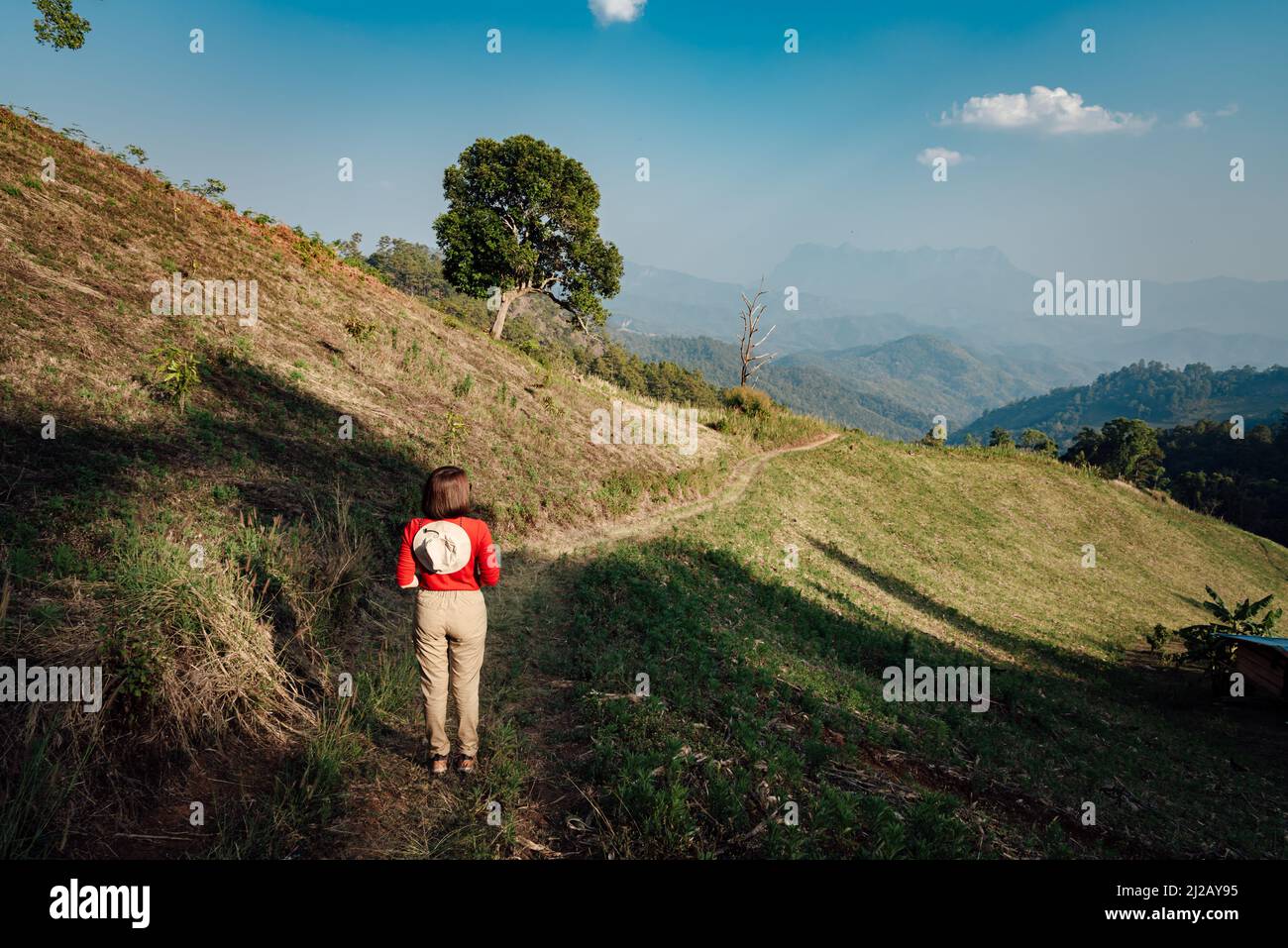 Eine Frau im roten Langarm mit weißem Hut geht auf goldenem, trockenem Grasland in Hadubi, Chiang Mai, Thailand. Stockfoto