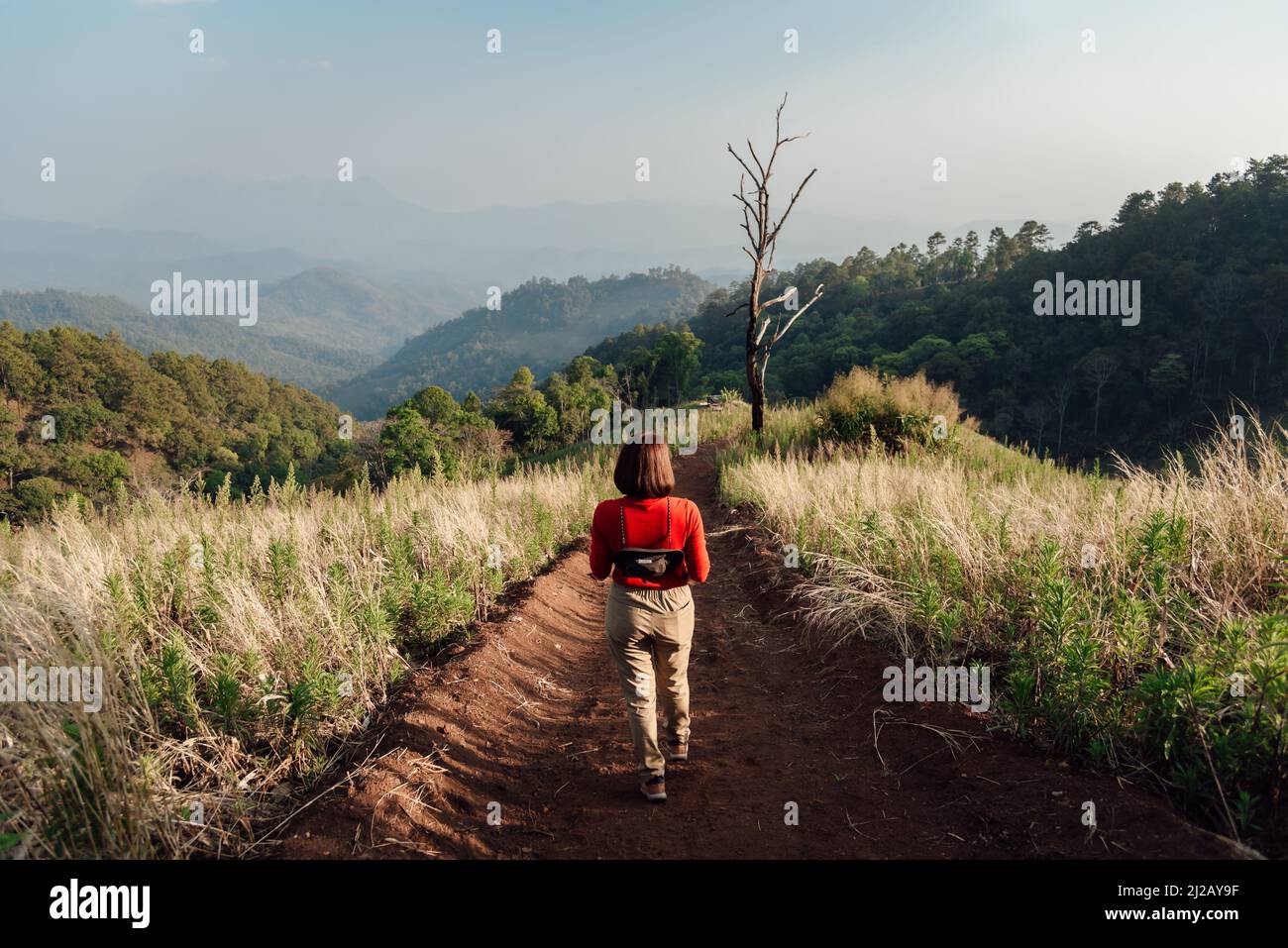 Eine Frau im roten Langarm mit weißem Hut geht auf goldenem, trockenem Grasland in Hadubi, Chiang Mai, Thailand. Stockfoto