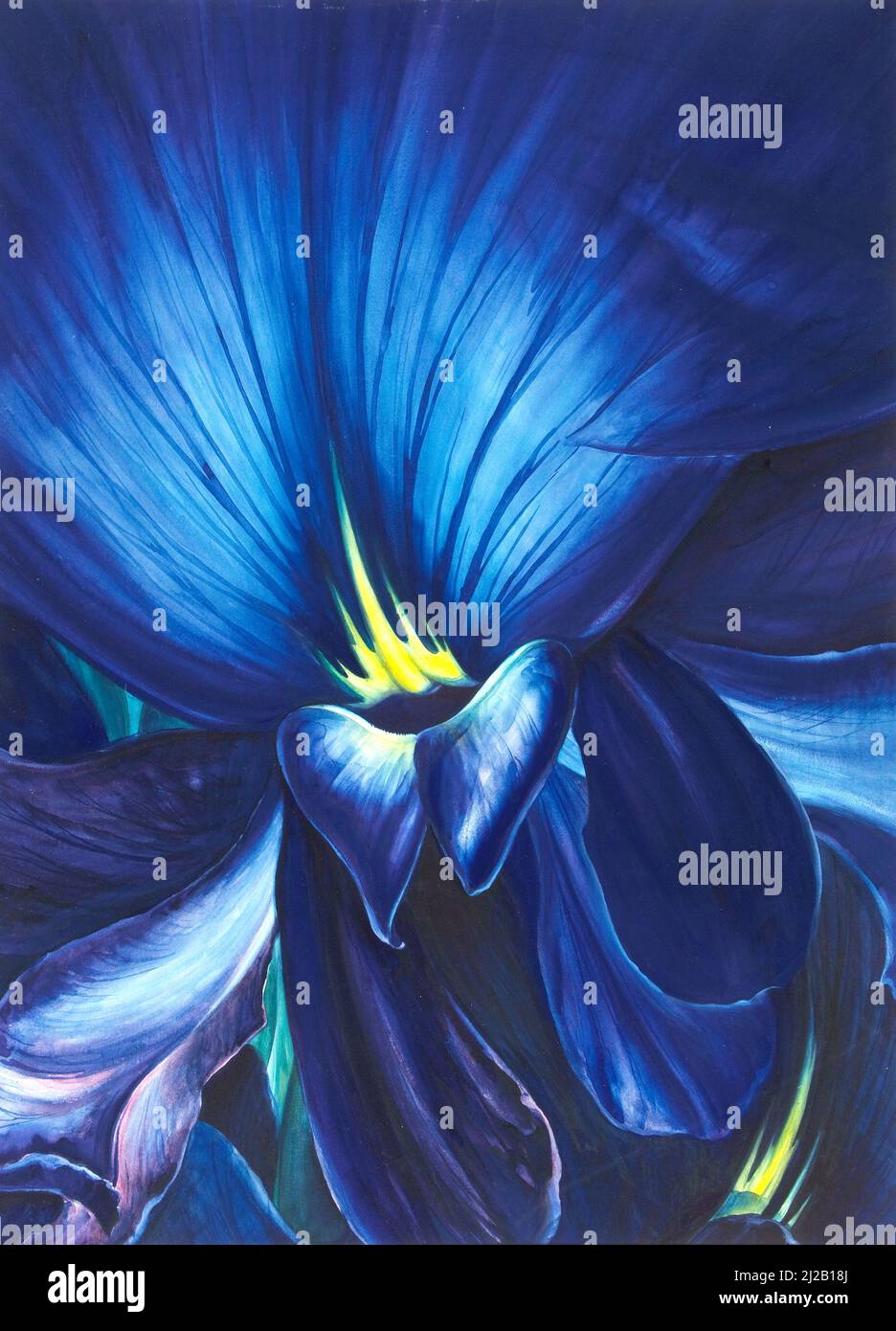Leon Carroll - Chinesisches Delphinium Stockfoto