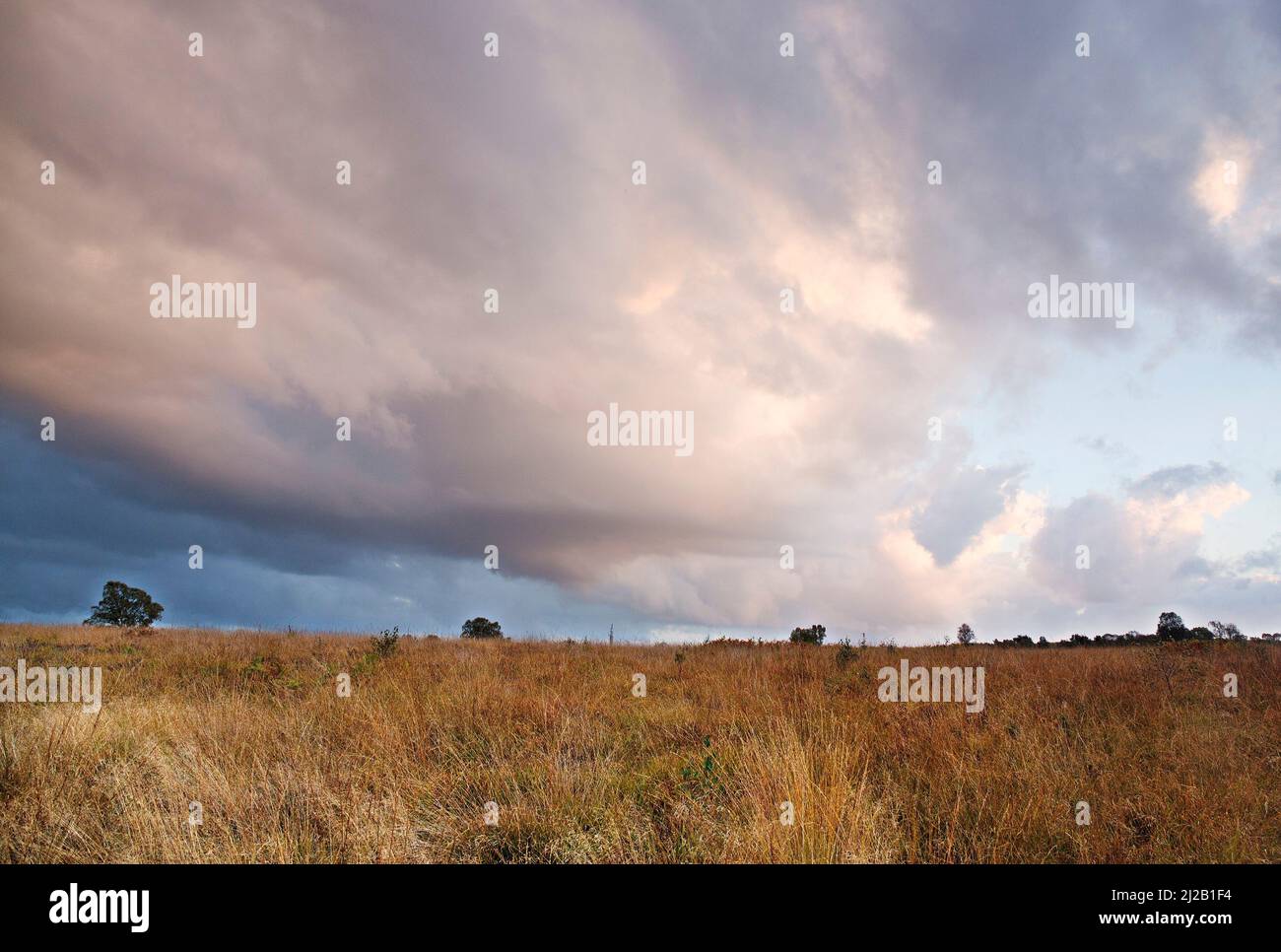 Große, sich bewegende Wolken über der Heide im Herbst Cannock Chase Area of Outstanding Natural Beauty Staffordshire Stockfoto
