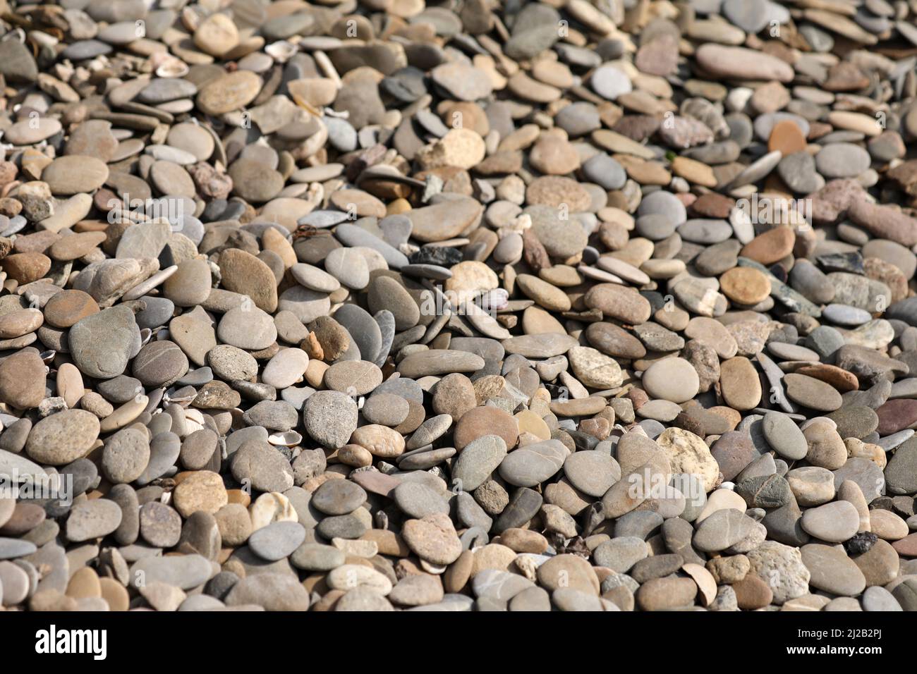 Kieselsteine am Rheinufer Stockfoto