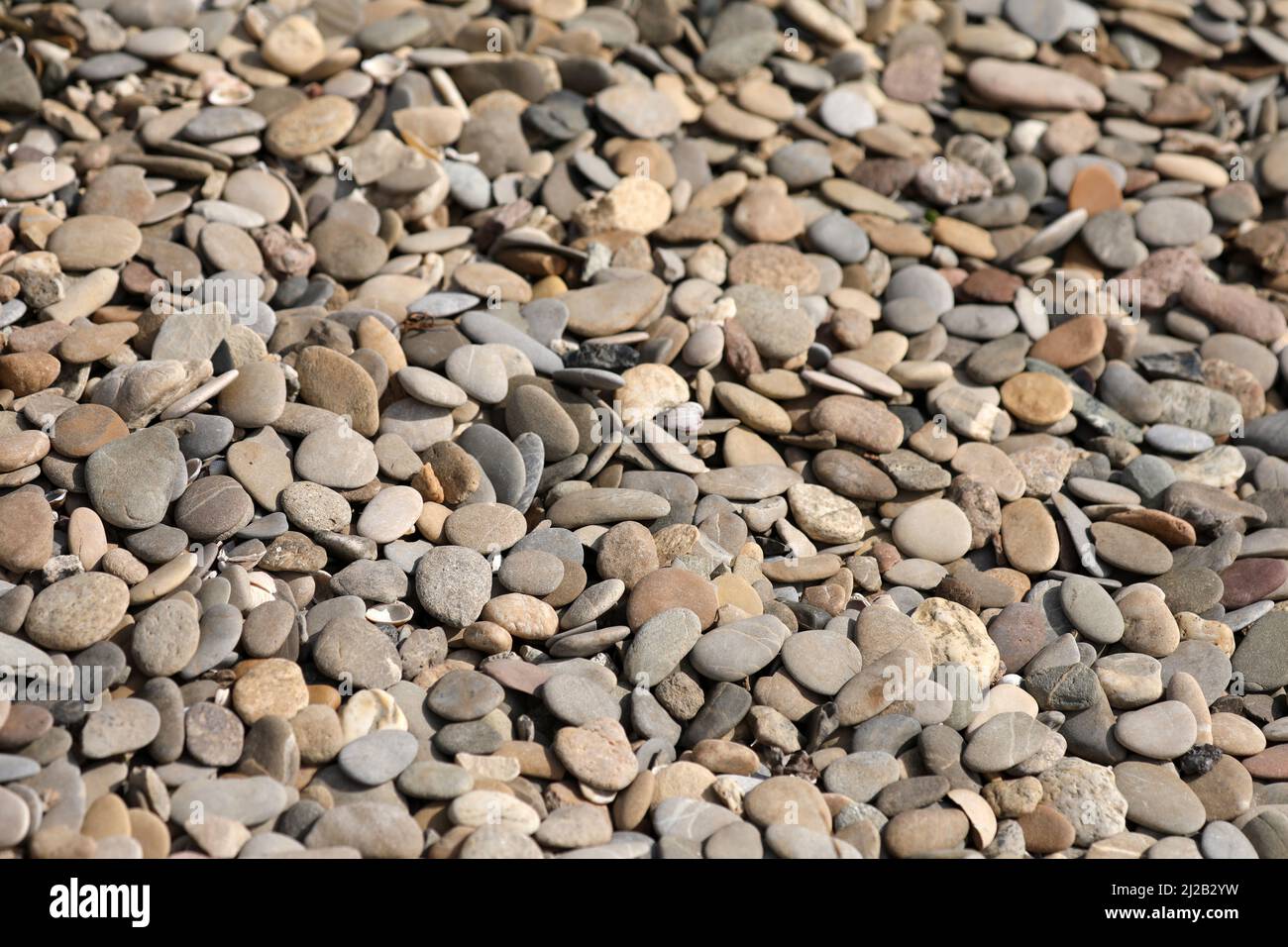 Kieselsteine am Rheinufer Stockfoto
