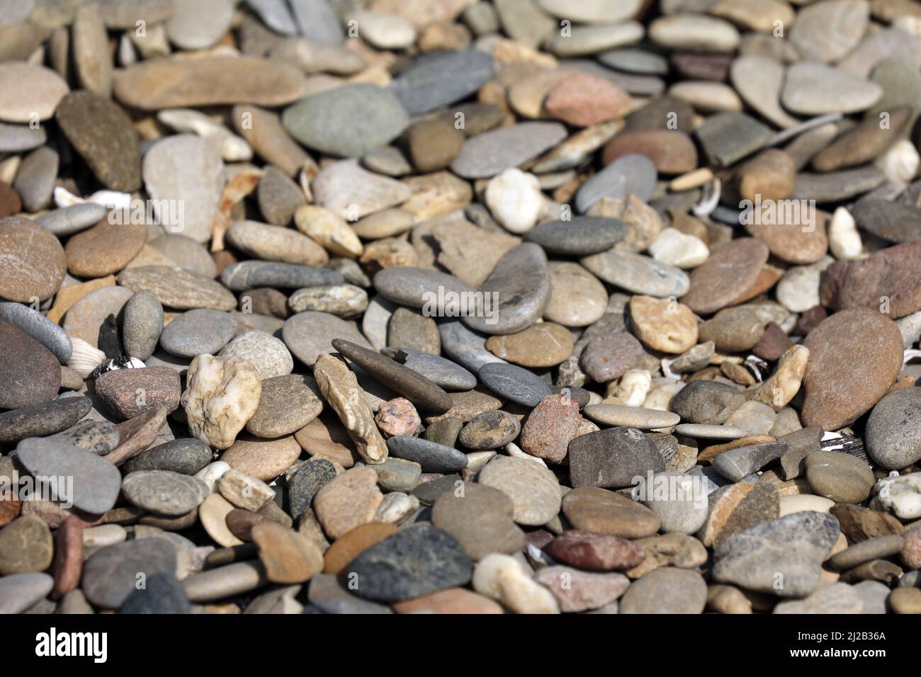 Kieselsteine am Rheinufer Stockfoto