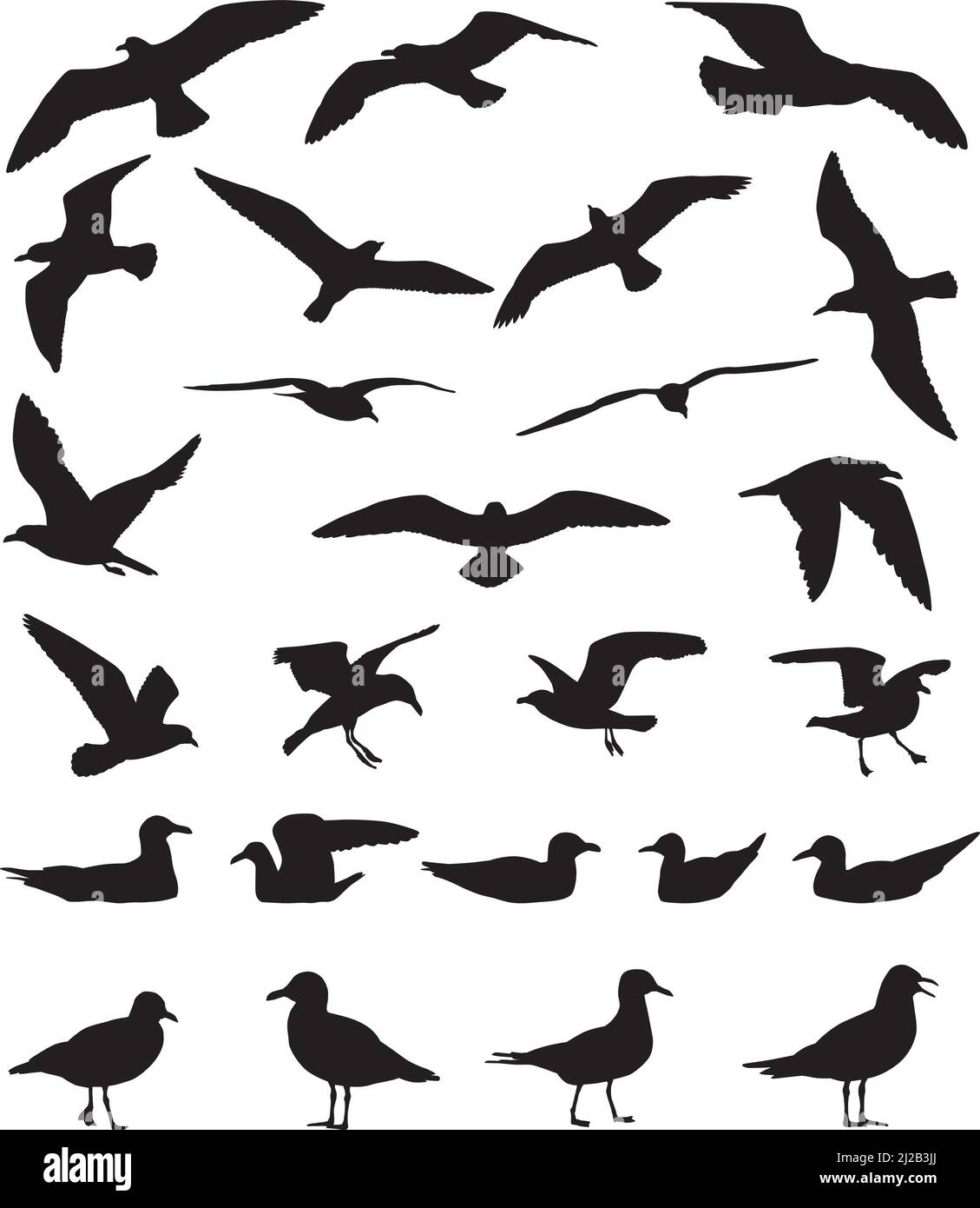 Silhouetten von Möwen, die auf dem Wasser fliegen und schwimmen Stock Vektor