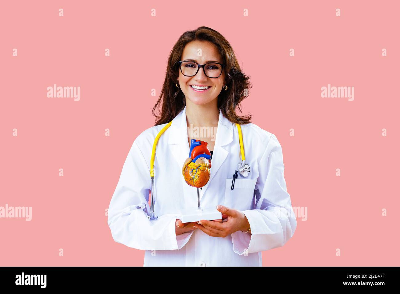 Ärztin Kardiologin mit Stethoskop hält ein Modell des menschlichen Herzens in den Händen Gesundheitskardiologin Stockfoto