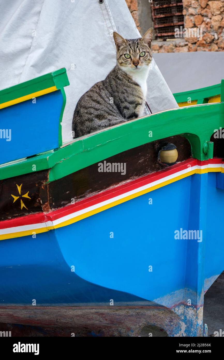 Eine Katze, die in einem luzzu (einem traditionellen maltesischen Fischerboot), St. Paul's Bay, Malta, sitzt Stockfoto