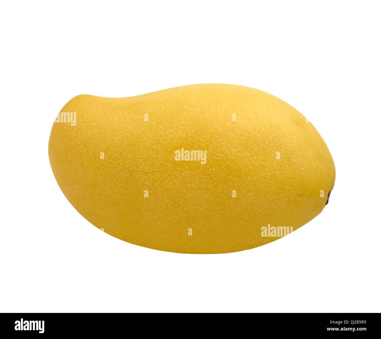 Gelbe thai-Mangofrucht isoliert auf weißem Hintergrund Stockfoto
