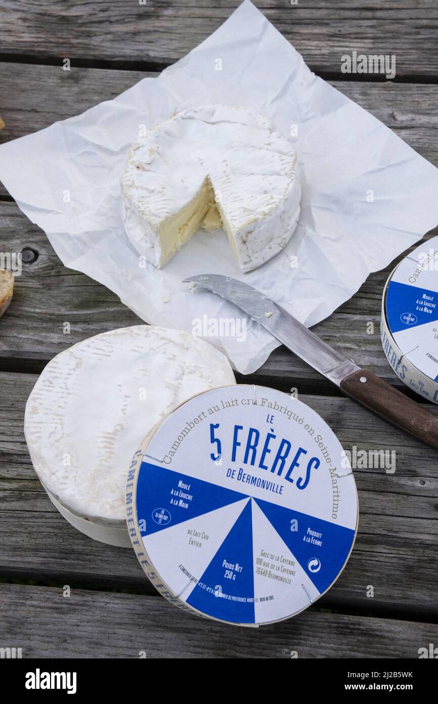 Käsefabrik der „Ferme des 5 Freres“ in Terres-de-Caux (Nordfrankreich). Camembert Les 5 freres aus nicht pasteurisierter Milch. Stillleben w Stockfoto