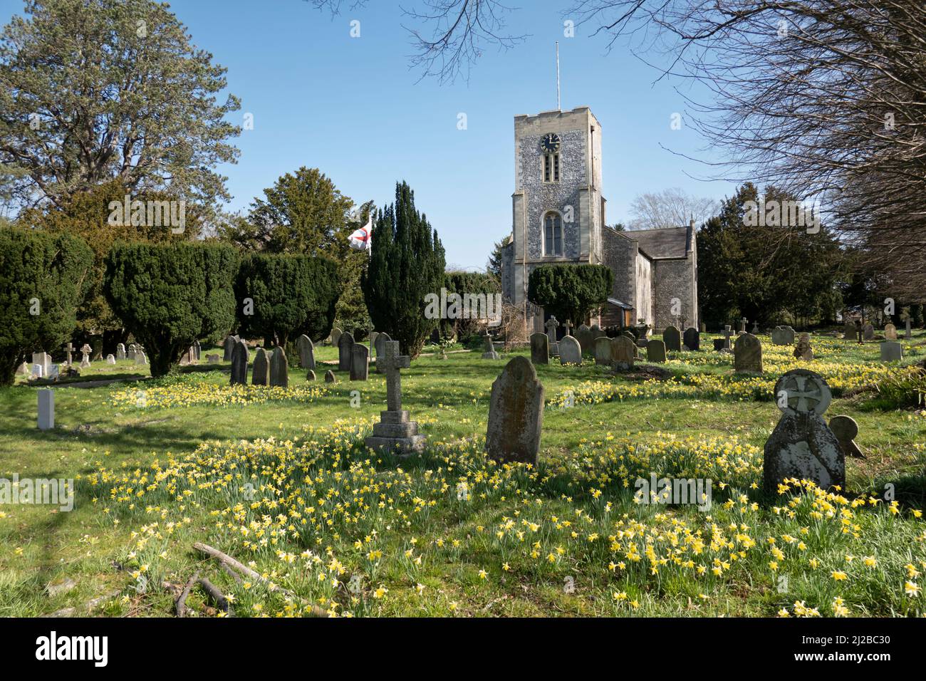Burghclere Kirche im Frühjahr mit Narzissen, Burghclere, Hampshire, England, Vereinigtes Königreich, Europa Stockfoto
