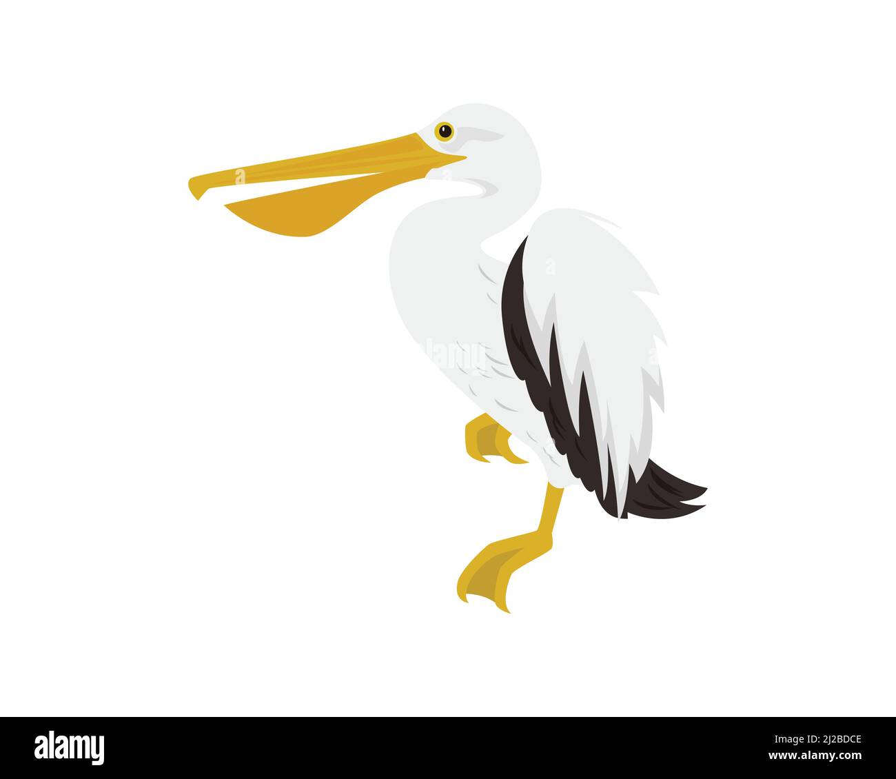 Landung Pelican und Beobachtung um Illustration Stock Vektor