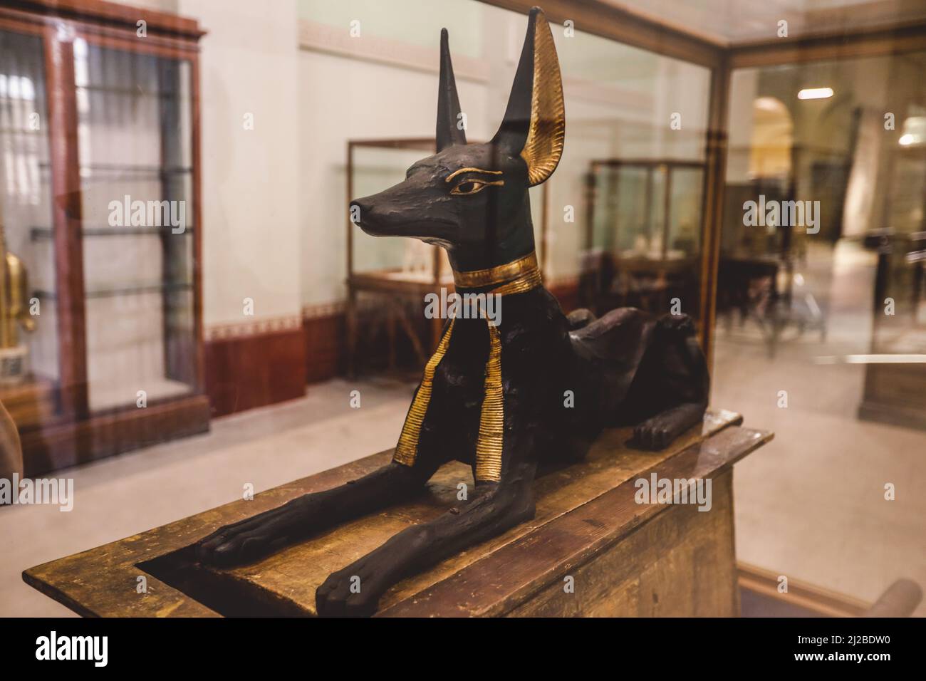 Sitzende Schwarz-Gold-Statue des altägyptischen Todesgottes Anubis im Kairo Museum, Ägypten Stockfoto