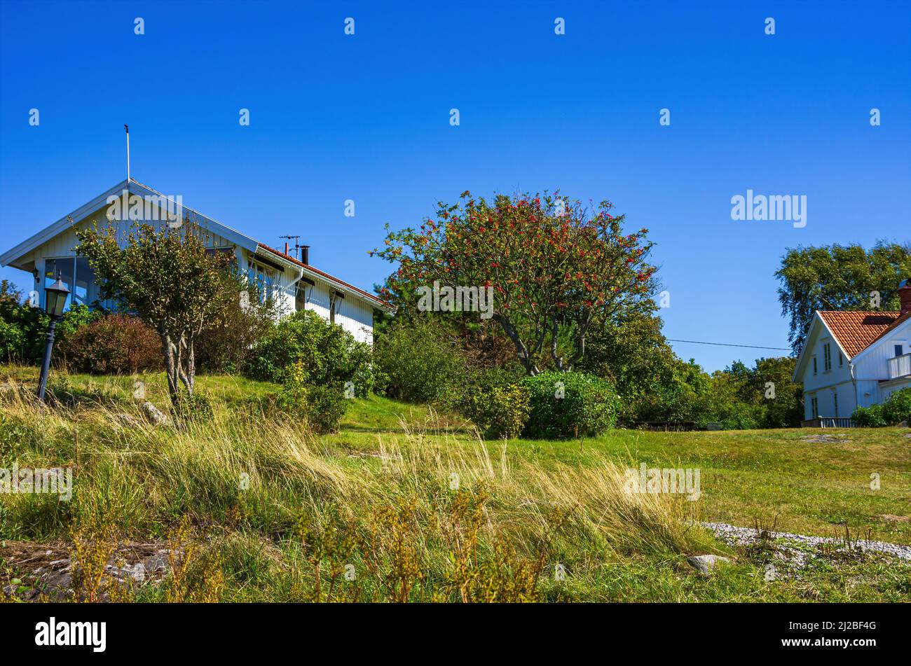 Idyllische Ferienhäuser in ländlicher Umgebung im malerischen Dorf Langegarde auf der Südkoster-Insel, Bohuslän, Västra Götalands län, Schweden. Stockfoto