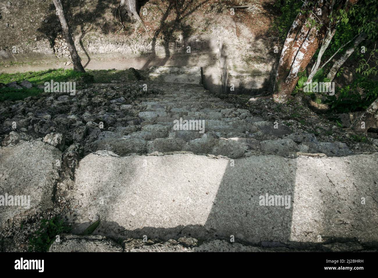 Steile Steintreppe Abstieg von der Pyramide Maya Ruinen 'Cahal Pech' in San Ignacio, Belize Stockfoto