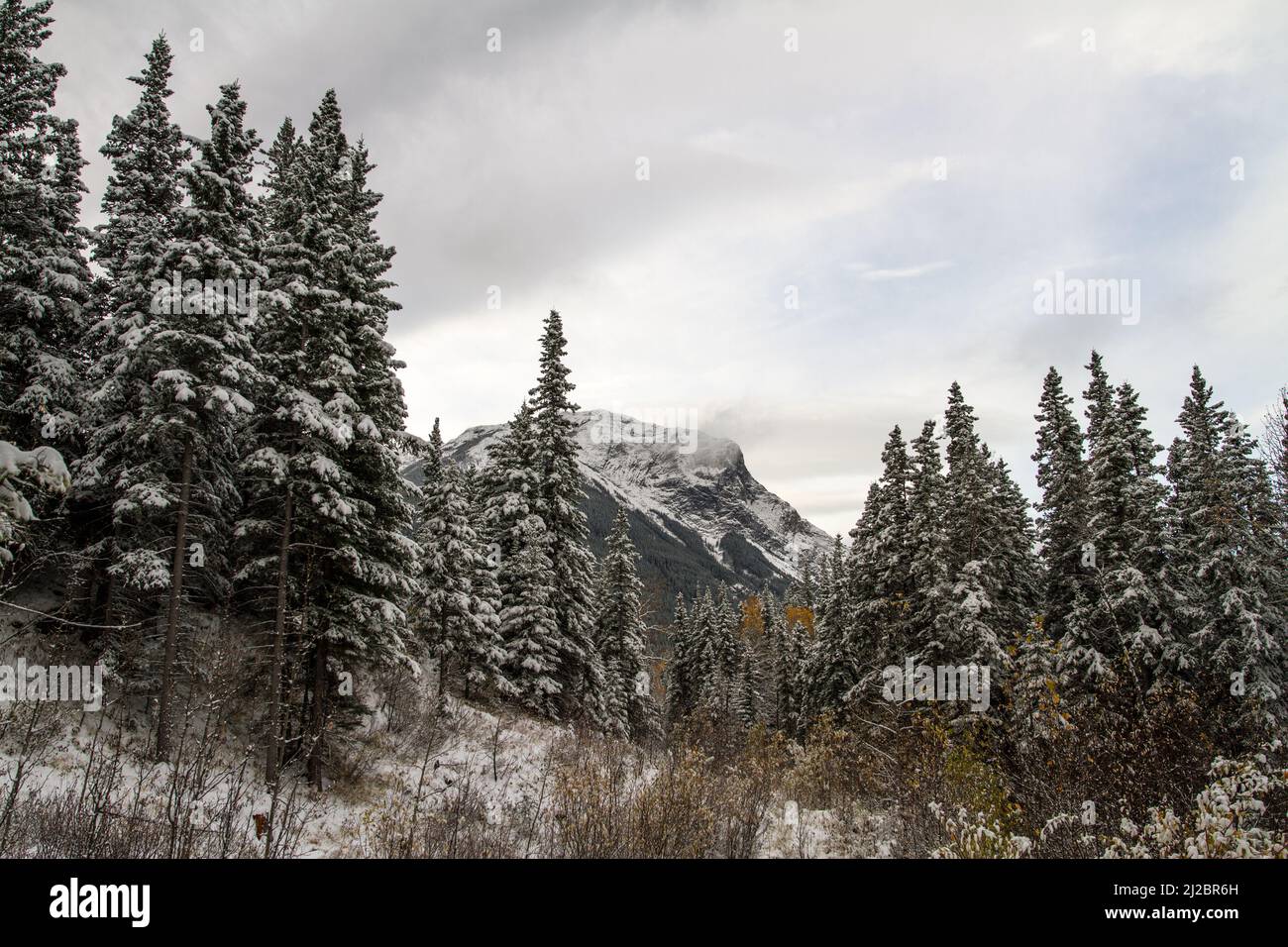 Eine malerische Aussicht auf den Berg Roche Miete im Jasper National Park, Alberta, Kanada aus der Ferne Stockfoto