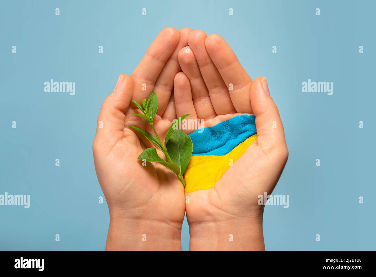 Frau Hände mit ukrainischer Flagge gehisst junge Pflanze, helfen Ukrainer Stockfoto