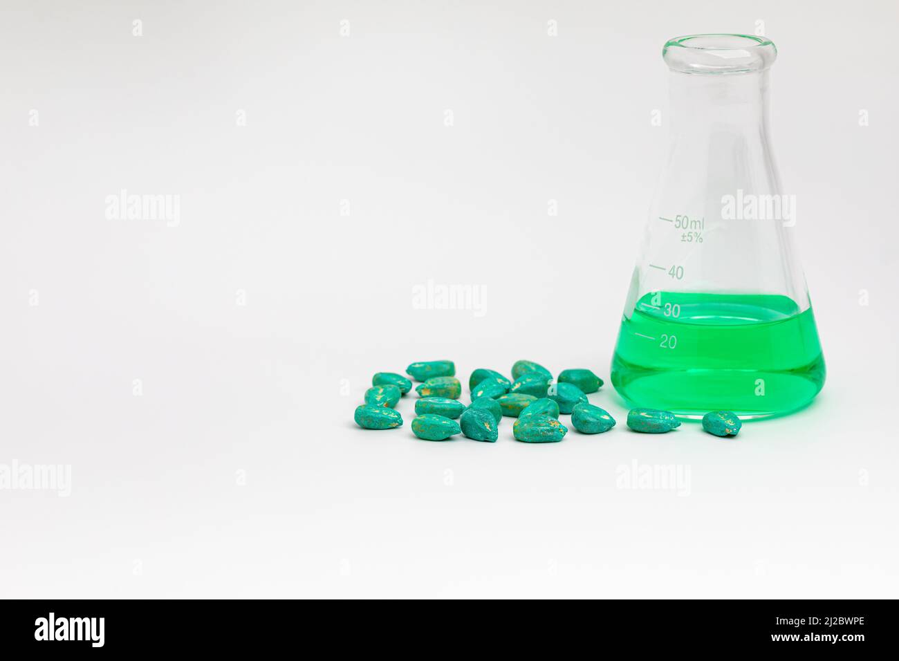 Behandeltes Maiskörner und Laborbecher. Maiskernbehandlung für Insekten, Schädlingsbekämpfung und Krankheitsmanagement Konzept Stockfoto