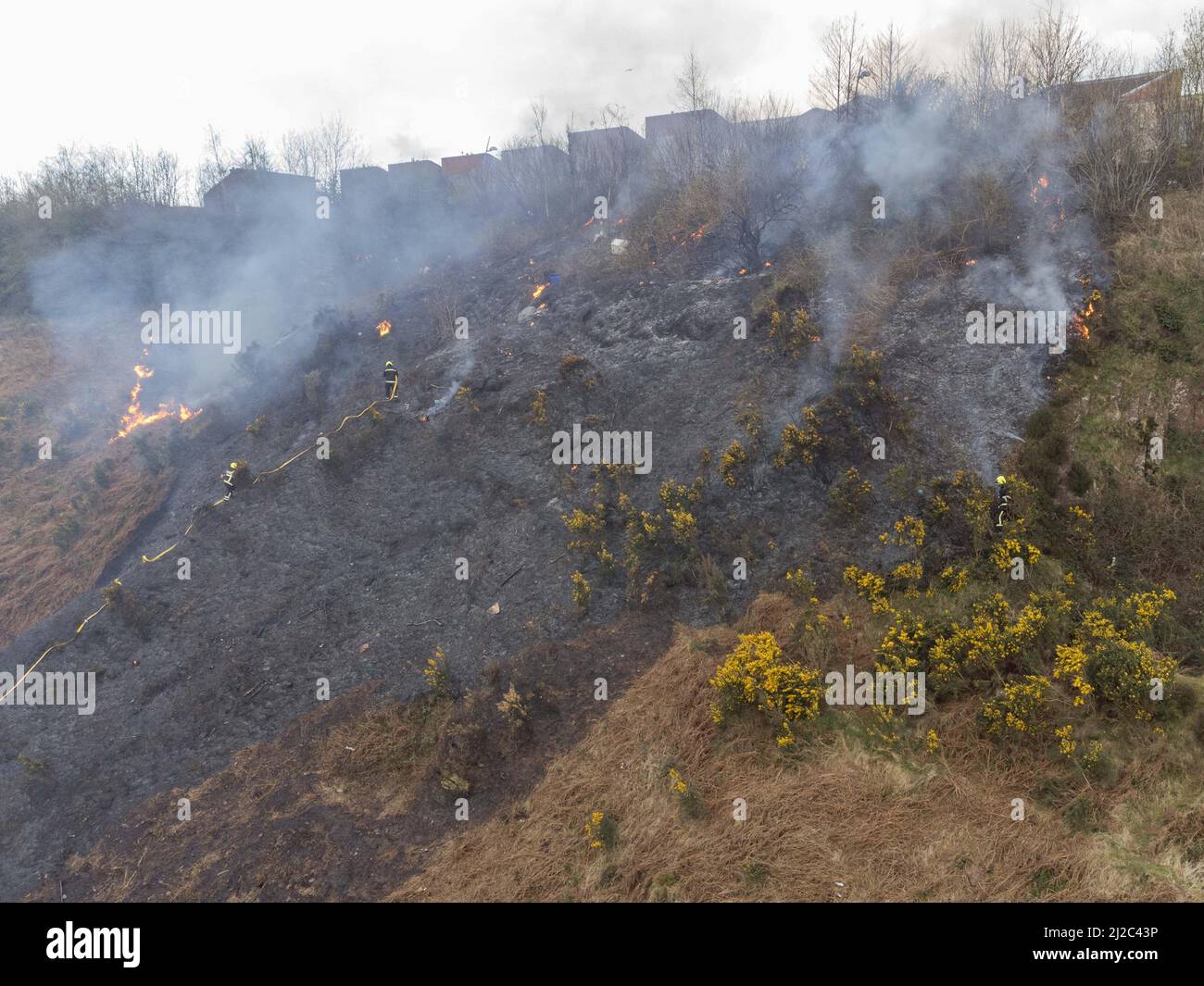 Cork, Irland, 31.. März 2022. Die Feuerwehr der Stadt Cork beschäftigt sich mit einem großen Gorse-Feuer in der Nähe von Häusern im Glen Park, Cork, Irland. Luftbild von Mitgliedern der Feuerwehr der Stadt Cork, die sich mit einem weiteren großen Gorse-Feuer in der Nähe von Häusern im Glen River Park, der zwischen Glen und Ballyvolane verläuft, befassen. Kurz nach 6 Uhr an diesem Abend besuchte die Feuerwehr der Stadt Cork die Szene eines großen Gorse-Feuers in der Nähe von Häusern im Glen River Park, der Rauch dieses Feuers blies direkt in die Häuser in der Gegend von Glen oberhalb des Glen Parks. Eine Reihe von Feuerwehrleuten war zu sehen Stockfoto