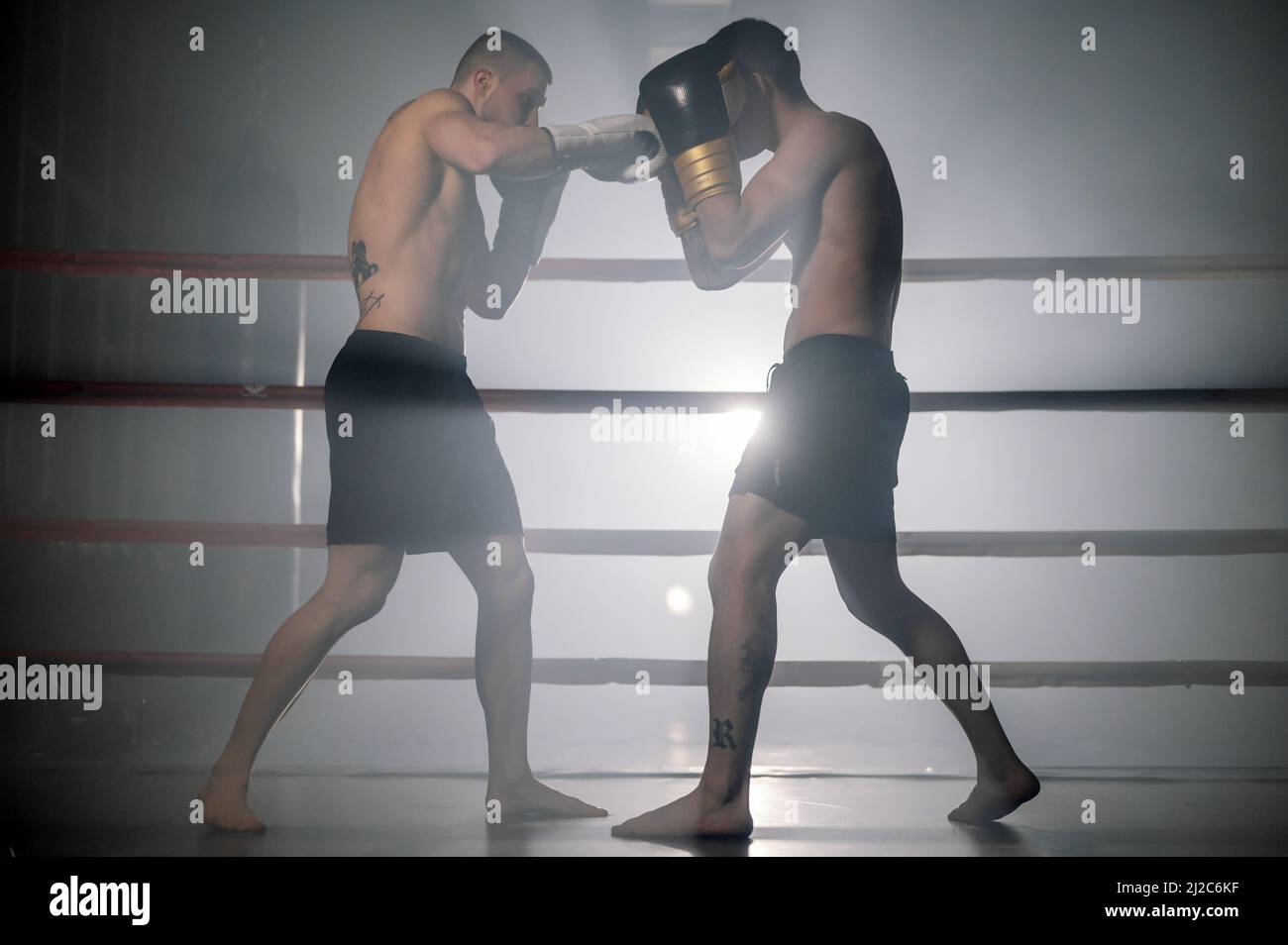 Zwei muskulöse, gemischte Kampfsportler kämpfen im Ring. Hochwertige Fotografie. Stockfoto