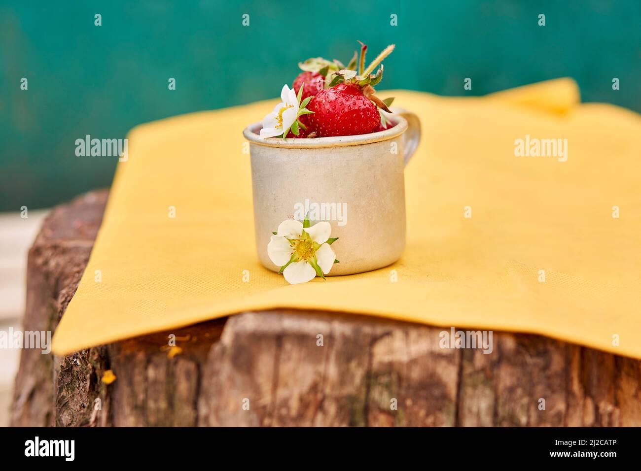 Erdbeeren in einem Reisetasse aus Metall-Aluminium auf einem Holzstumpf. Grüner und gelber Frühlingshintergrund. Cottagecore Ästhetik Konzept, trendige Schatten Hintergrund. Speicherplatz kopieren. Hochwertige Fotos Stockfoto