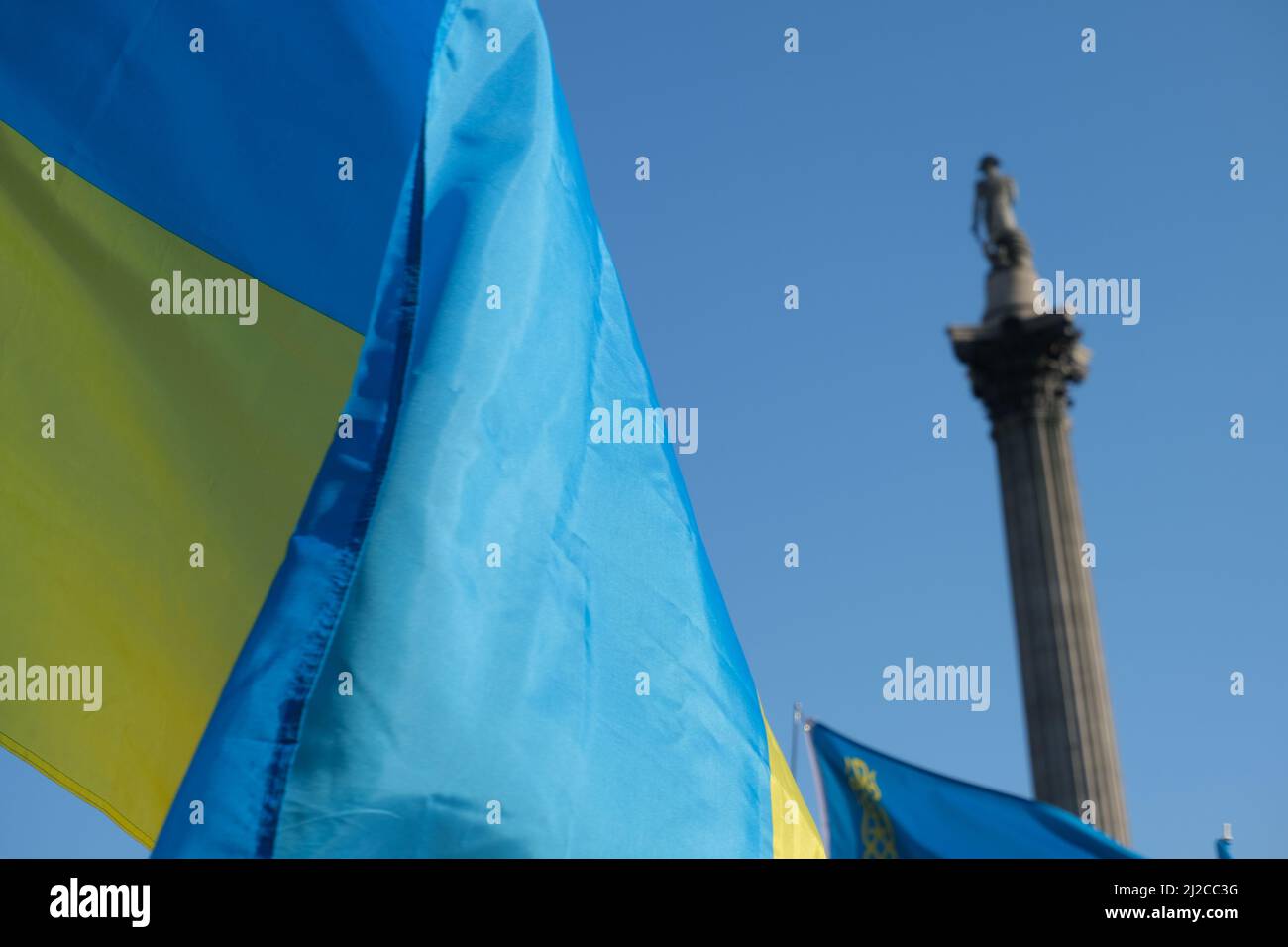 Ukrainische Flagge, Trafalgar Square, Lord Nelson Statue Stockfoto