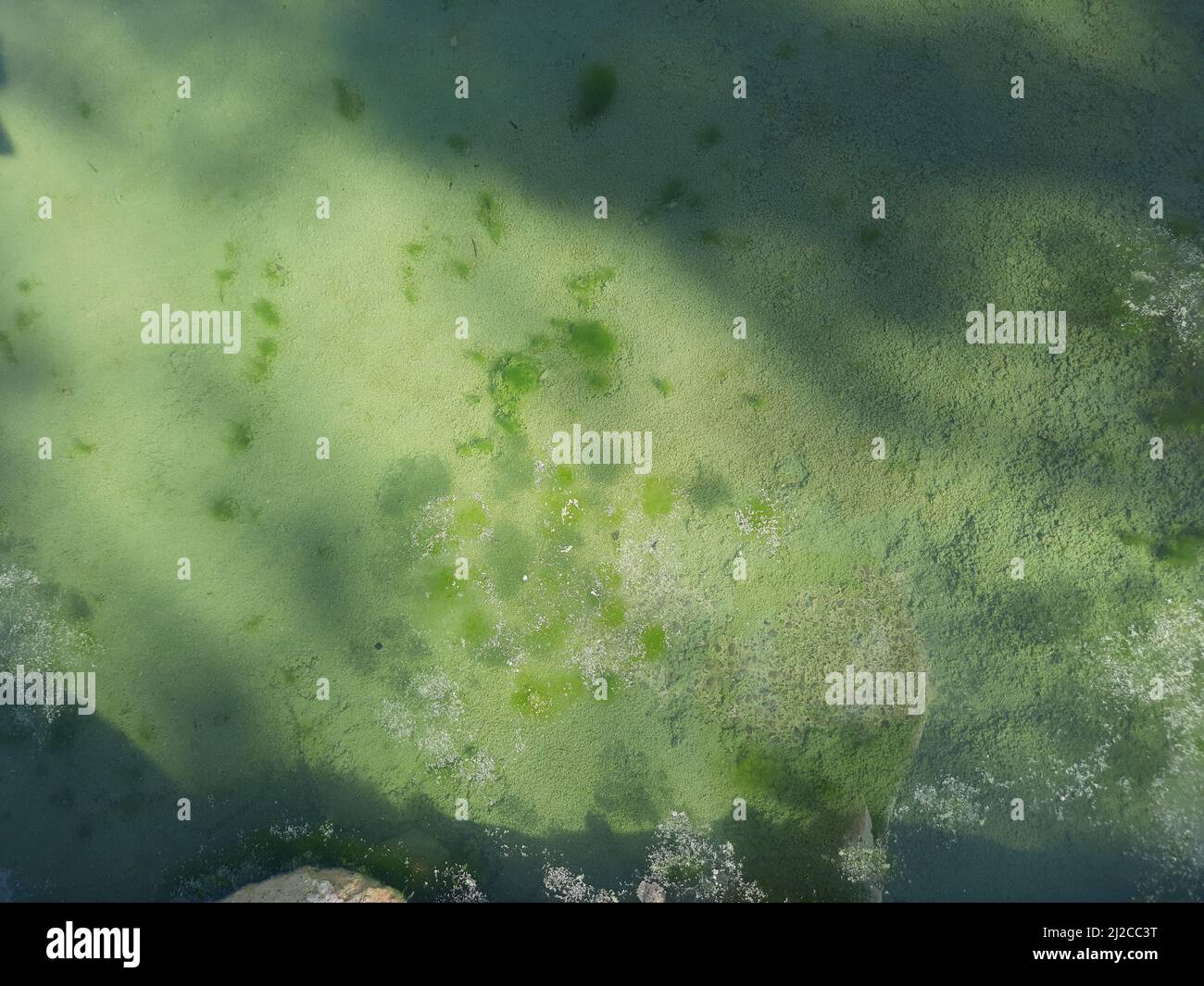 Karahayit Red Springs sind ein separates Quellwasser mit einer eigenen einzigartigen Kombination von Mineralien, die dazu geführt hat, dass dieses Wasser in einer roten Farbe herausfließt Stockfoto