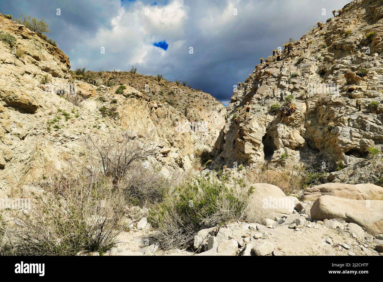 Der Moonlight Canyon in den trockenen Bergen der Wüste des Agua Caliente County Park, Anza-Borrego, Kalifornien, USA Stockfoto