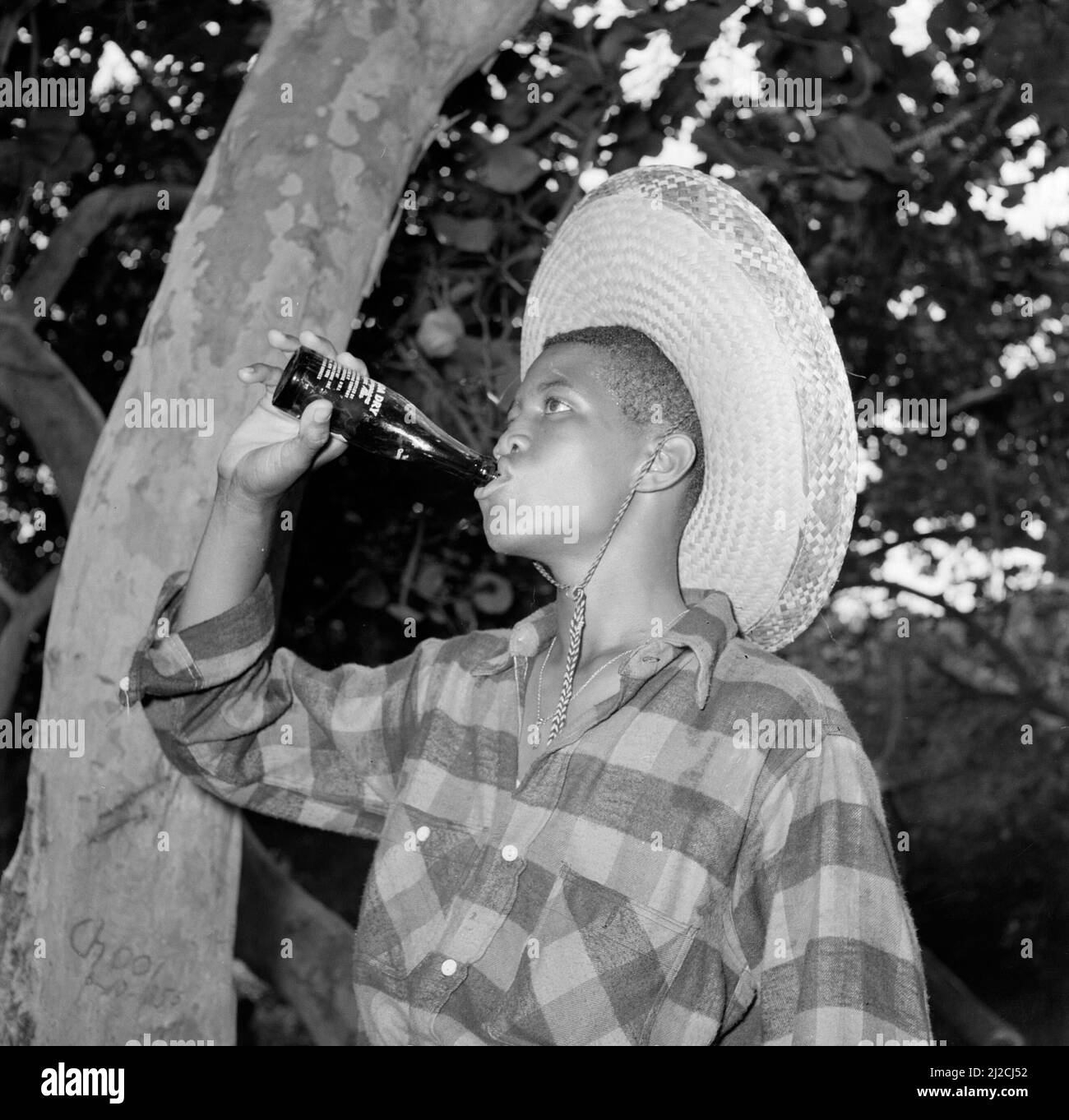 Junge trinkt eine Flasche Canada Dry in den Niederländischen Antillen oder Niederländischen Antillen Ca: 1. Oktober 1955 Stockfoto