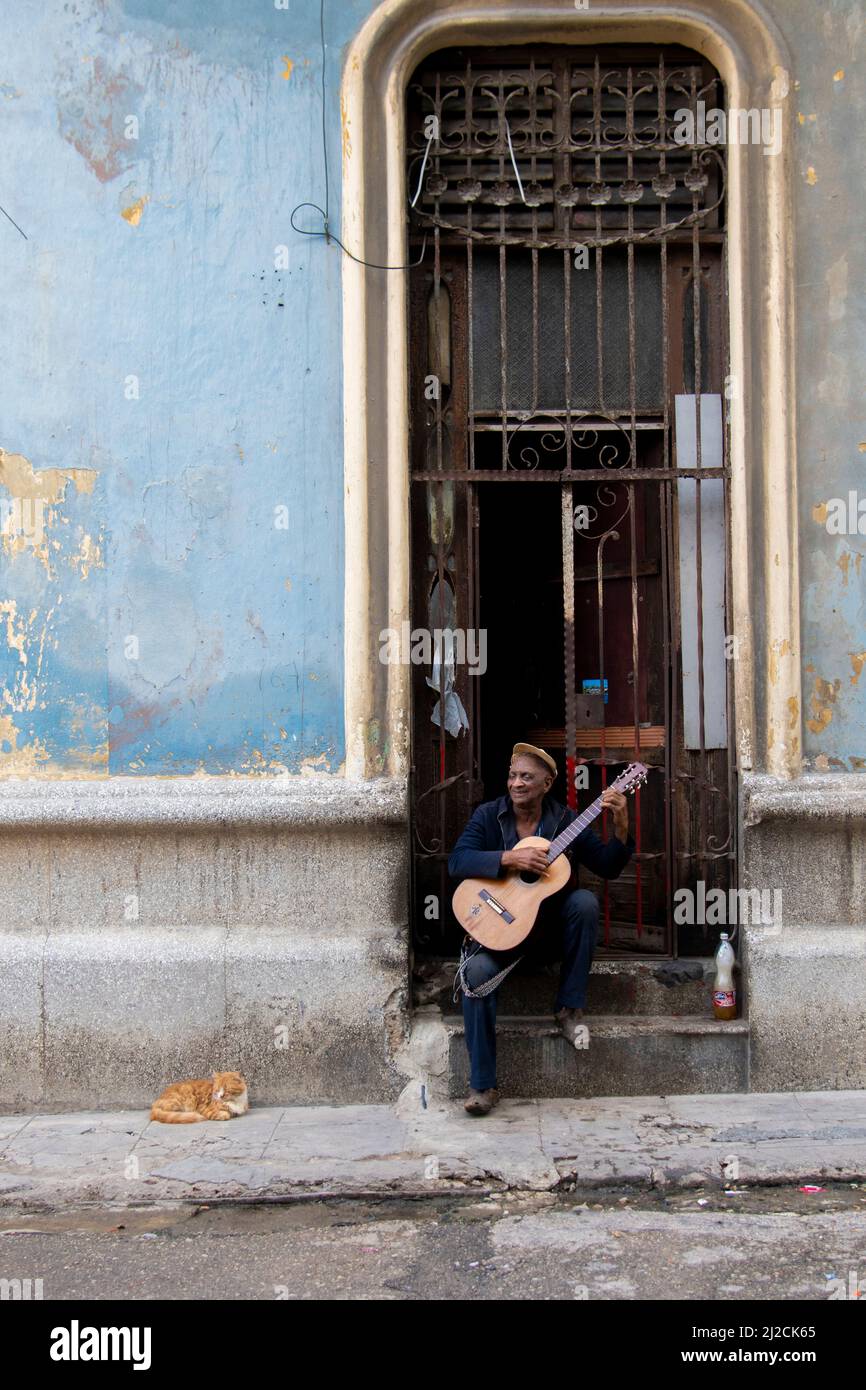 Älterer Mann singt und spielt auf einer Straße Gitarre, während seine Katze in Havanna, Kuba, auf dem Boden lauscht. Stockfoto