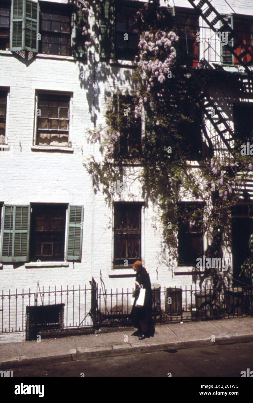 Wisteria verleiht dem Haus am Waverly Place, einer ruhigen Straße gleich neben dem Washington Square in Lower Manhattans berühmtem Greenwich Village Ca. 1973 Stockfoto