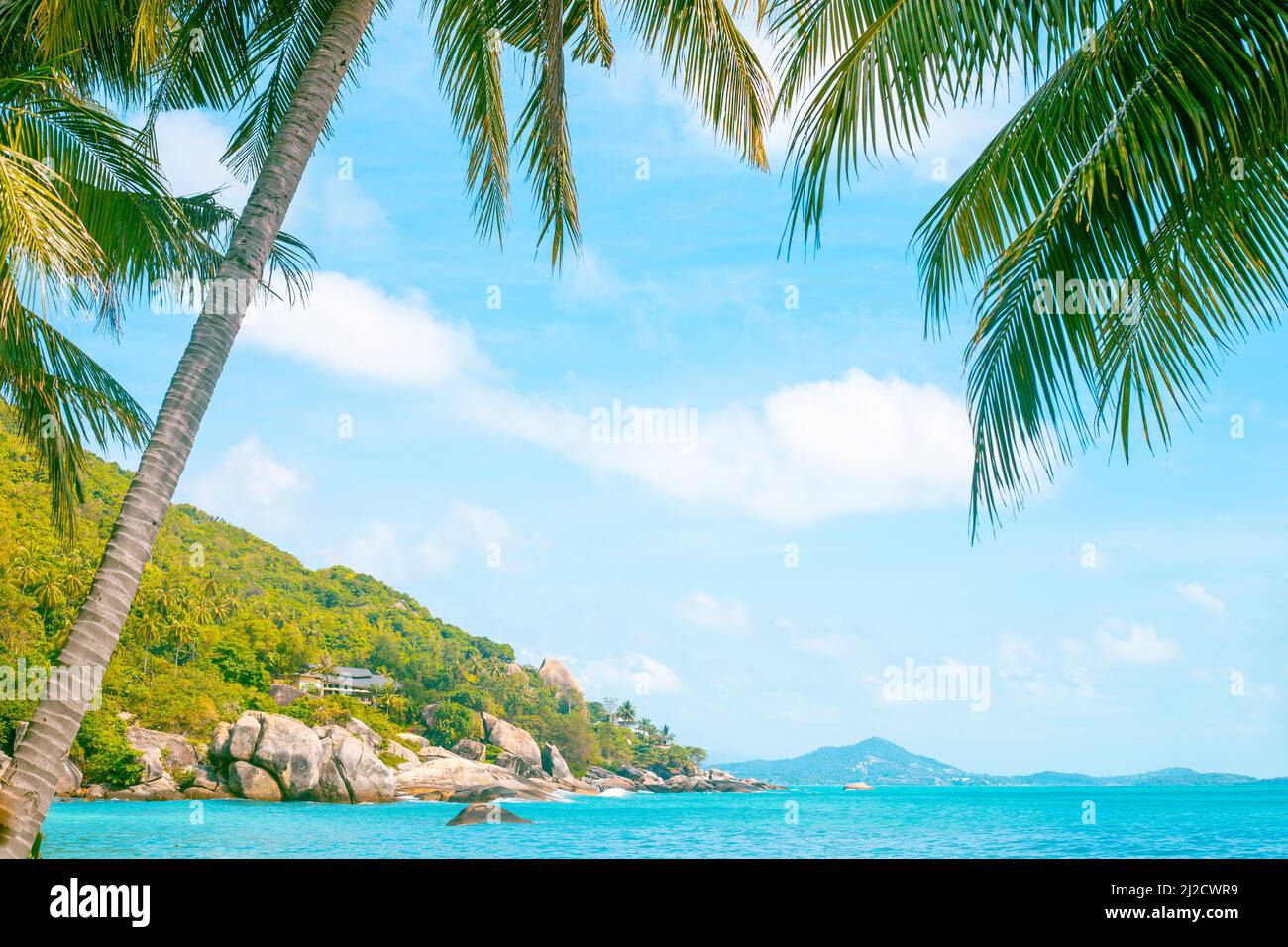 Tropische Landschaft. Küste mit Palmen und Bergen. Reisen und Tourismus. Stockfoto