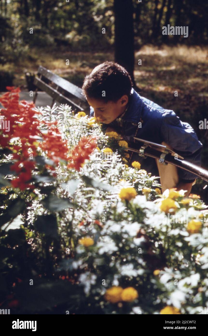 Im High Rock Park auf Staten Island wirft ein Mitglied einer Gruppe einer öffentlichen Schule in New York City einen Blick auf ein Blumenbett ca. 1973 Stockfoto