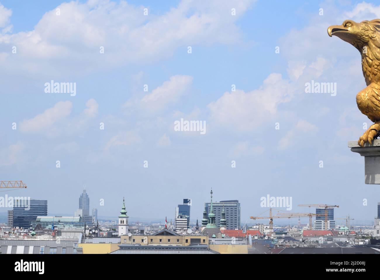 Blick auf die Stadt Wien mit Gebäuden und Himmel vom Dach der Karlskirche. Detail eines goldenen Adlers. Wien, Österreich Stockfoto