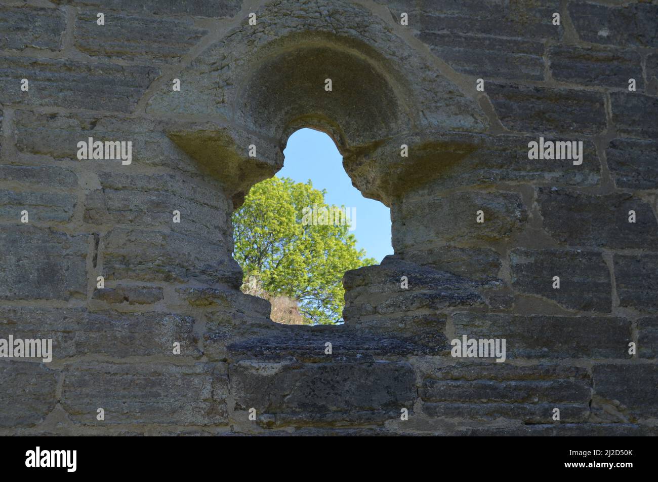 Ein Nahaufnahme aus der alten Abtei von Alvastra in Schweden. Durch das Fenster kann man die Spitze eines Baumes sehen. Stockfoto