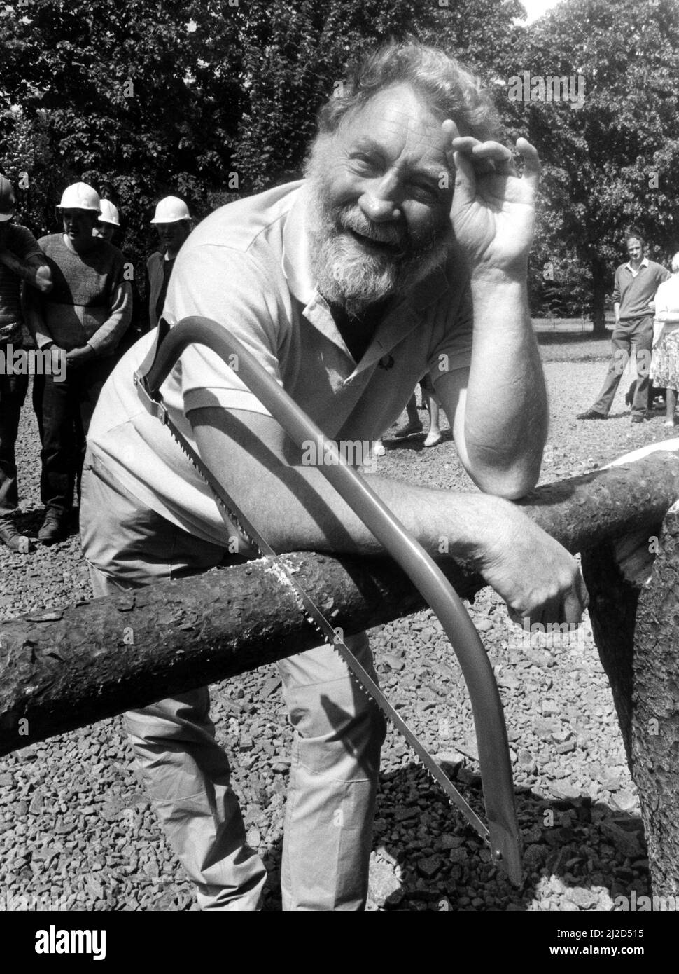 Der TV-Naturschützer David Bellamy nahm bei der Eröffnung eines neuen Picknickpunktes am 26.. Juni 1986 eine feste Hand. Er sägte sich durch einen Baumstamm am Eingang zum Grove Picknickplatz im 3.000 Hektar großen Hamsterley Forest, einem der beliebtesten Orte in der Grafschaft Durham Stockfoto