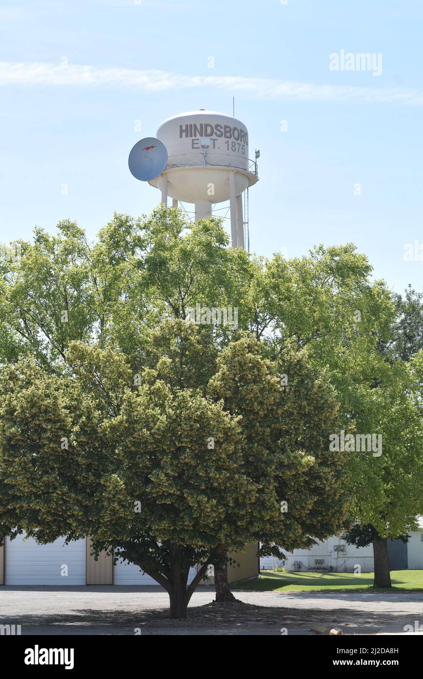 Großes Gericht auf dem Wasserturm der Stadt in Hindsboro, Illinois Stockfoto