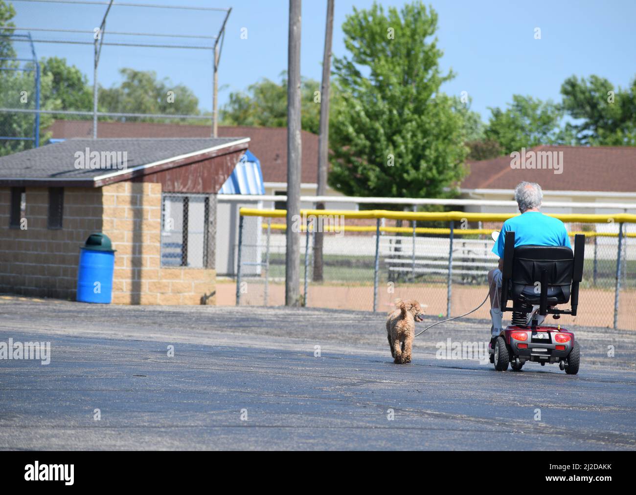 Ein älterer Mann auf einem motorisierten Rollstuhl nimmt seinen Hund mit auf einen Spaziergang; Cissna Park, IL Stockfoto