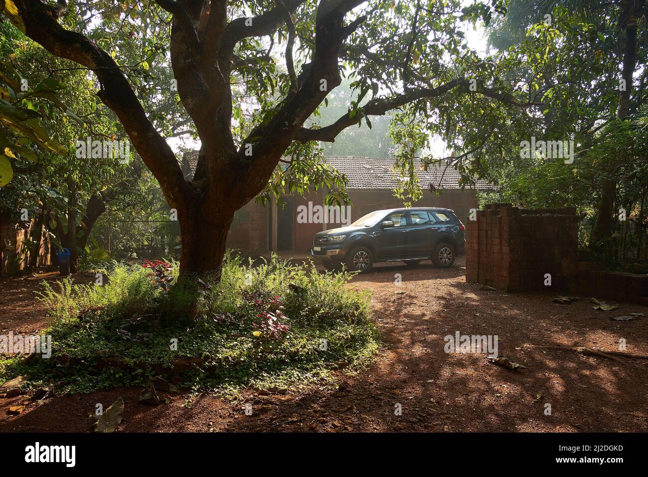 Ein typisches Bauernhaus voller Vintrage-Mangobäume in Ratnagiri, Maharashtra, Indien Stockfoto