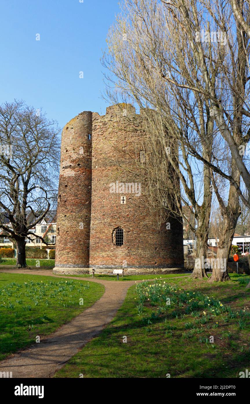 Ein Blick auf den mittelalterlichen Cow Tower, der zur Verbesserung der Stadtverteidigung am Fluss Wensum in der Stadt Norwich, Norfolk, England, Vereinigtes Königreich, errichtet wurde. Stockfoto